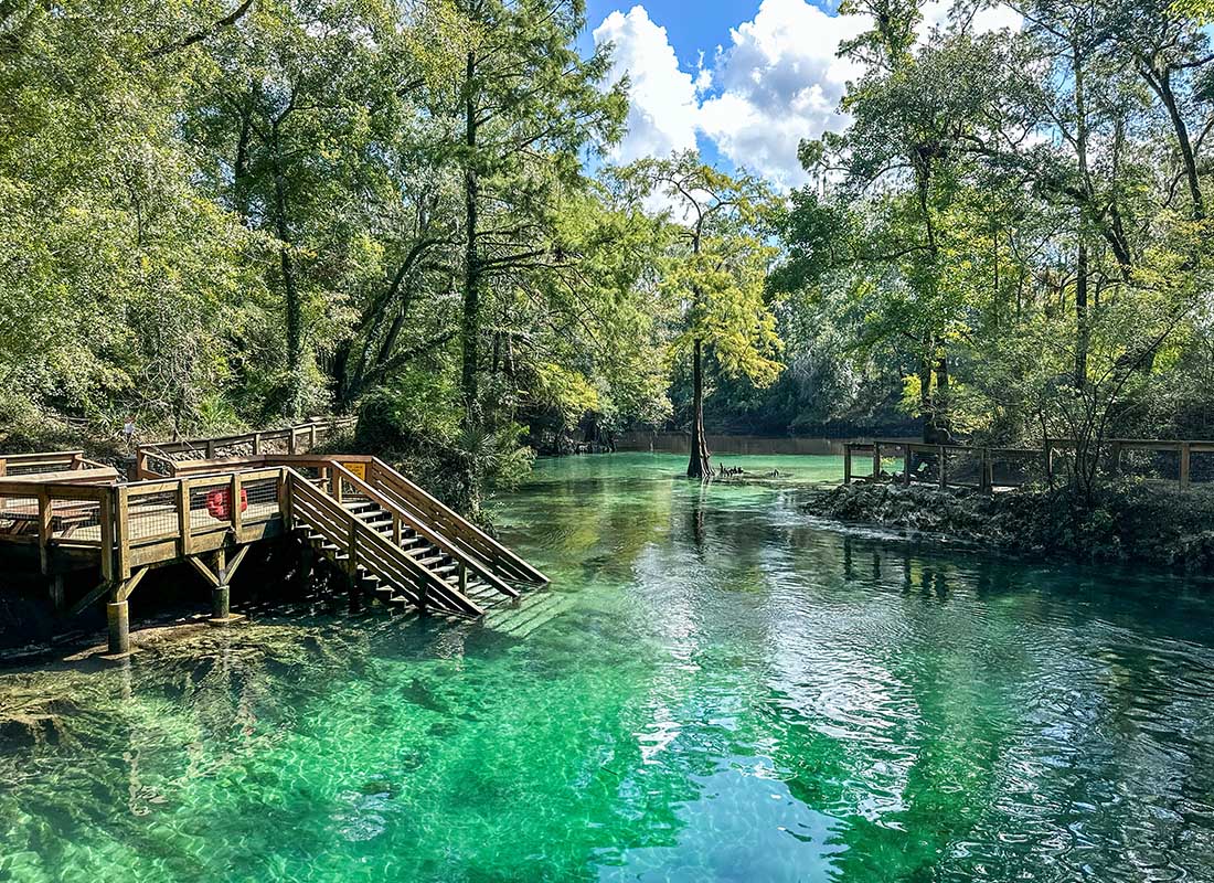About Our Agency - Madison Blue Springs, Madison Blue Springs State Park, Florida